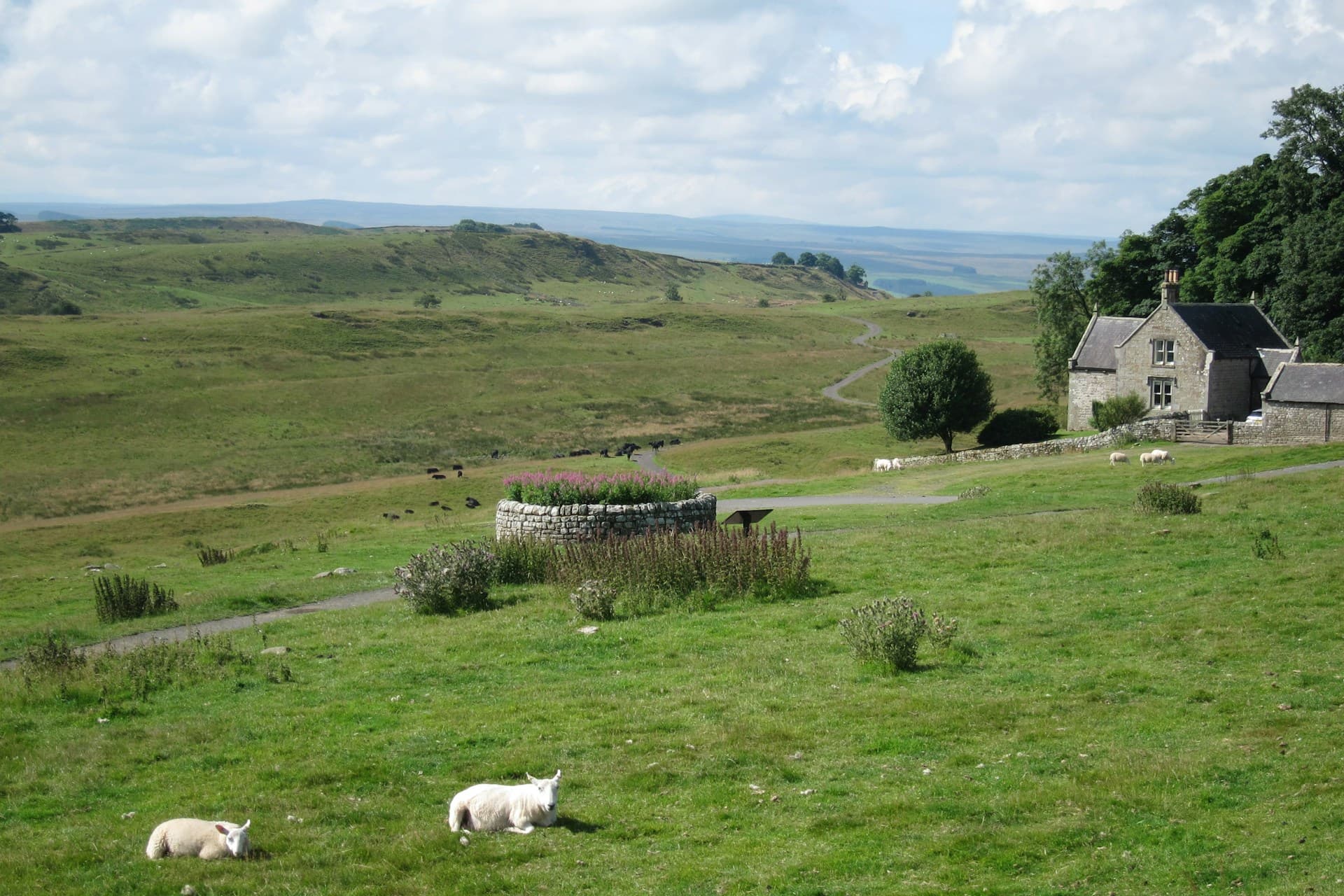 The View from Housesteads Roman Fort