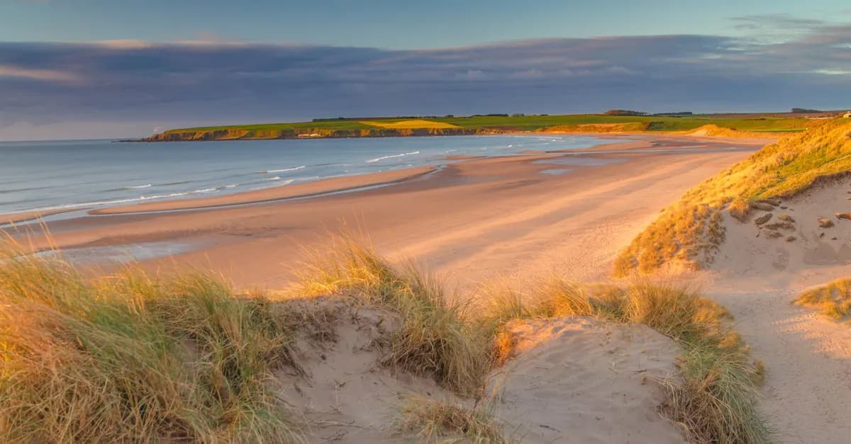 Lunan Bay